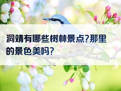 洞靖有哪些树林景点？那里的景色美吗？