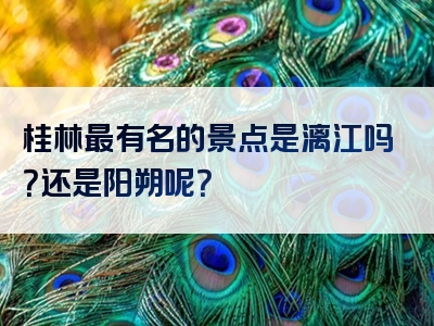 桂林最有名的景点是漓江吗？还是阳朔呢？