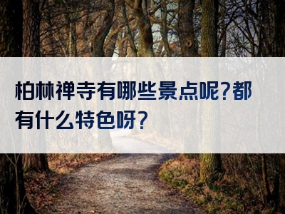 柏林禅寺有哪些景点呢？都有什么特色呀？