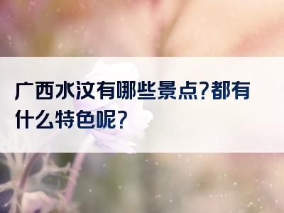 广西水汶有哪些景点？都有什么特色呢？