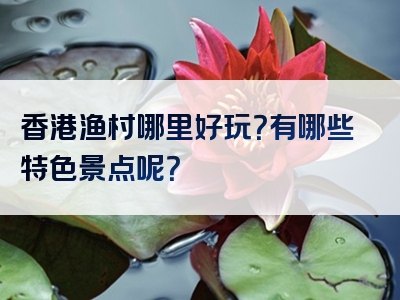 香港渔村哪里好玩？有哪些特色景点呢？