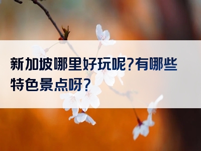 新加坡哪里好玩呢？有哪些特色景点呀？