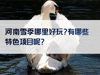 河南雪季哪里好玩？有哪些特色项目呢？