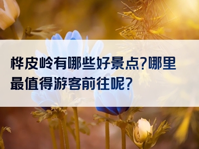 桦皮岭有哪些好景点？哪里最值得游客前往呢？
