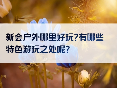 新会户外哪里好玩？有哪些特色游玩之处呢？