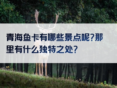 青海鱼卡有哪些景点呢？那里有什么独特之处？