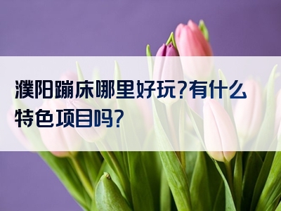 濮阳蹦床哪里好玩？有什么特色项目吗？
