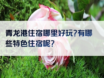 青龙港住宿哪里好玩？有哪些特色住宿呢？