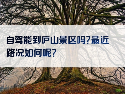 自驾能到庐山景区吗？最近路况如何呢？