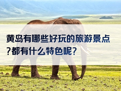 黄岛有哪些好玩的旅游景点？都有什么特色呢？