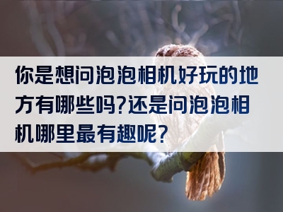 你是想问泡泡相机好玩的地方有哪些吗？还是问泡泡相机哪里最有趣呢？