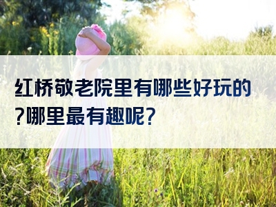 红桥敬老院里有哪些好玩的？哪里最有趣呢？