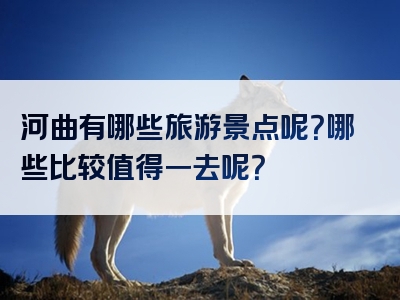 河曲有哪些旅游景点呢？哪些比较值得一去呢？