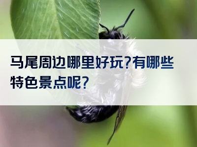 马尾周边哪里好玩？有哪些特色景点呢？