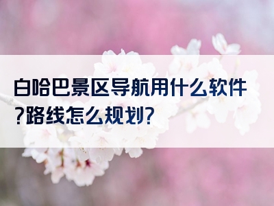 白哈巴景区导航用什么软件？路线怎么规划？