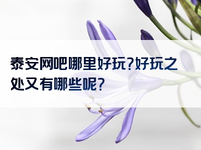 泰安网吧哪里好玩？好玩之处又有哪些呢？