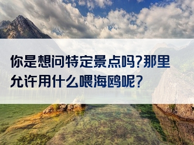 你是想问特定景点吗？那里允许用什么喂海鸥呢？
