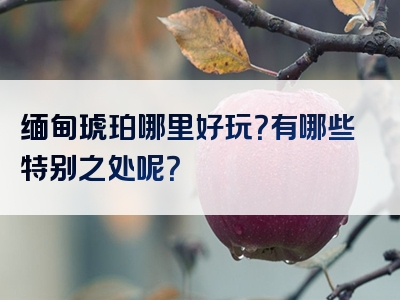 缅甸琥珀哪里好玩？有哪些特别之处呢？