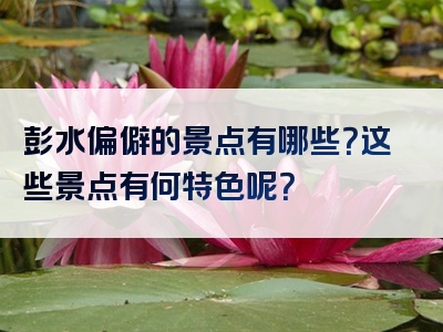 彭水偏僻的景点有哪些？这些景点有何特色呢？