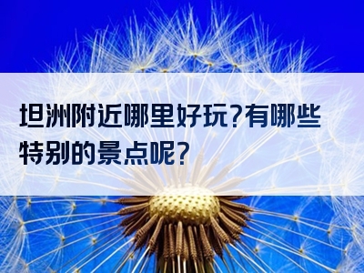 坦洲附近哪里好玩？有哪些特别的景点呢？
