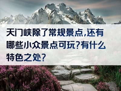 天门峡除了常规景点，还有哪些小众景点可玩？有什么特色之处？