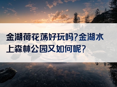 金湖荷花荡好玩吗？金湖水上森林公园又如何呢？