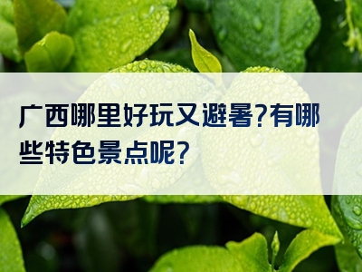 广西哪里好玩又避暑？有哪些特色景点呢？