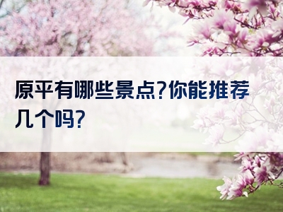 原平有哪些景点？你能推荐几个吗？