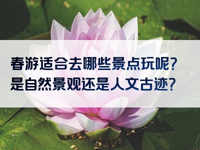 春游适合去哪些景点玩呢？是自然景观还是人文古迹？