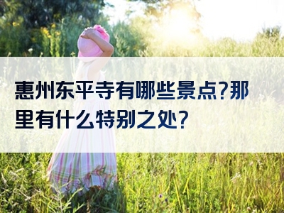 惠州东平寺有哪些景点？那里有什么特别之处？