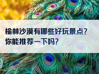 榆林沙漠有哪些好玩景点？你能推荐一下吗？