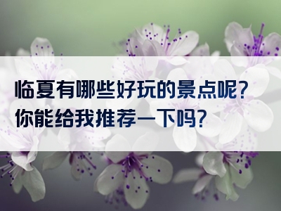 临夏有哪些好玩的景点呢？你能给我推荐一下吗？