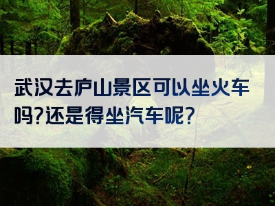 武汉去庐山景区可以坐火车吗？还是得坐汽车呢？