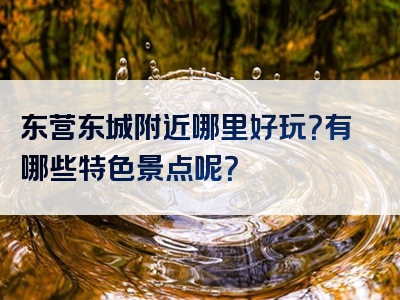 东营东城附近哪里好玩？有哪些特色景点呢？