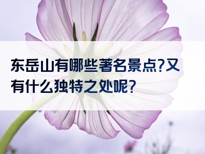 东岳山有哪些著名景点？又有什么独特之处呢？