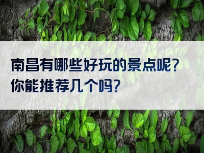 南昌有哪些好玩的景点呢？你能推荐几个吗？