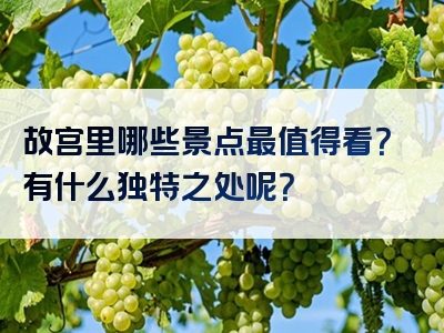 故宫里哪些景点最值得看？有什么独特之处呢？