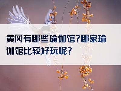 黄冈有哪些瑜伽馆？哪家瑜伽馆比较好玩呢？