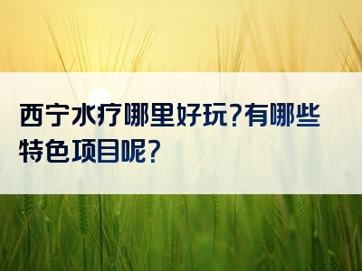 西宁水疗哪里好玩？有哪些特色项目呢？