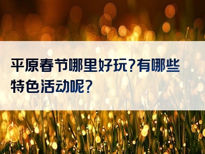 平原春节哪里好玩？有哪些特色活动呢？
