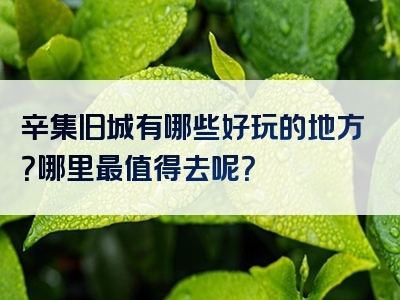 辛集旧城有哪些好玩的地方？哪里最值得去呢？