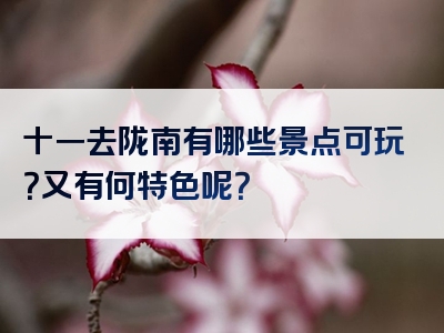 十一去陇南有哪些景点可玩？又有何特色呢？