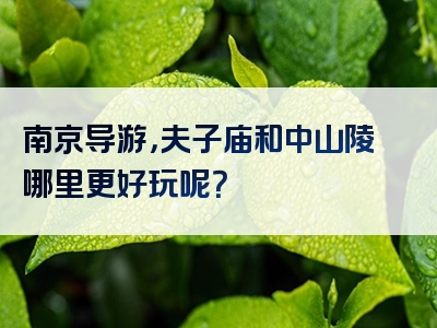 南京导游，夫子庙和中山陵哪里更好玩呢？