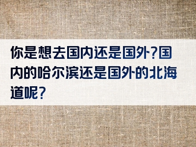 你是想去国内还是国外？国内的哈尔滨还是国外的北海道呢？