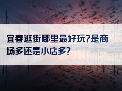宜春逛街哪里最好玩？是商场多还是小店多？