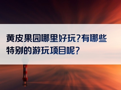 黄皮果园哪里好玩？有哪些特别的游玩项目呢？