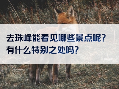 去珠峰能看见哪些景点呢？有什么特别之处吗？