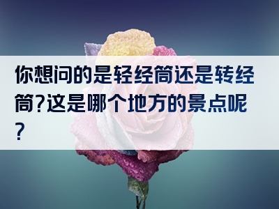 你想问的是轻经筒还是转经筒？这是哪个地方的景点呢？