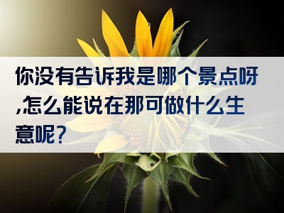 你没有告诉我是哪个景点呀，怎么能说在那可做什么生意呢？