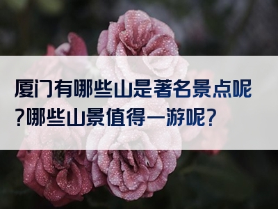厦门有哪些山是著名景点呢？哪些山景值得一游呢？
